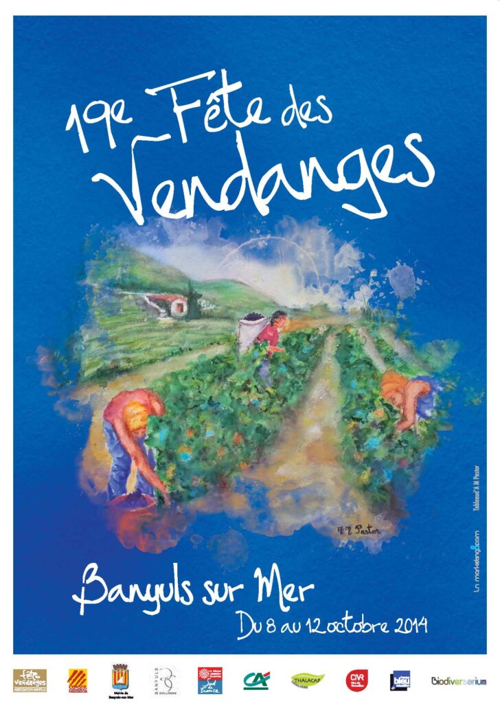 fdv affiche 2014 web