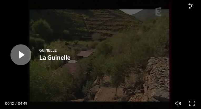 premier reportage tv guinelle