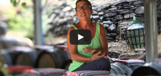 vign video winelr