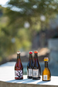 produits vinaigrerie artisanale la guinelle