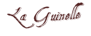 header guinelle 2